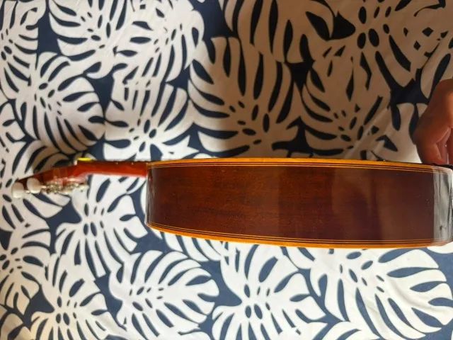 Banjo Rozini  - Foto 3