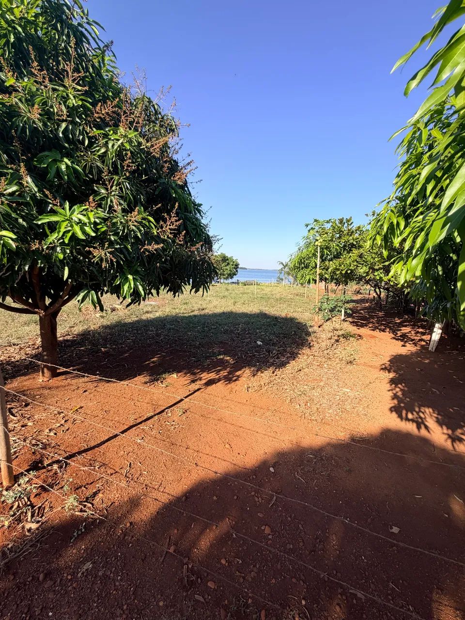 Terreno/Rancho Beira do Rio Formoso - Foto 4