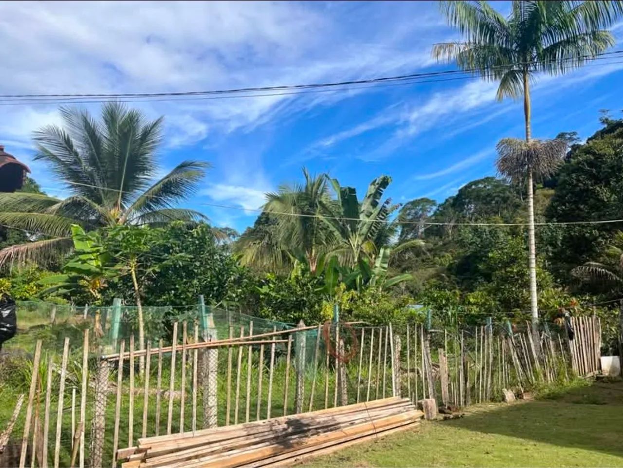 Vende - se sítio na Palmeira dos Góes - Itagi  - Foto 4