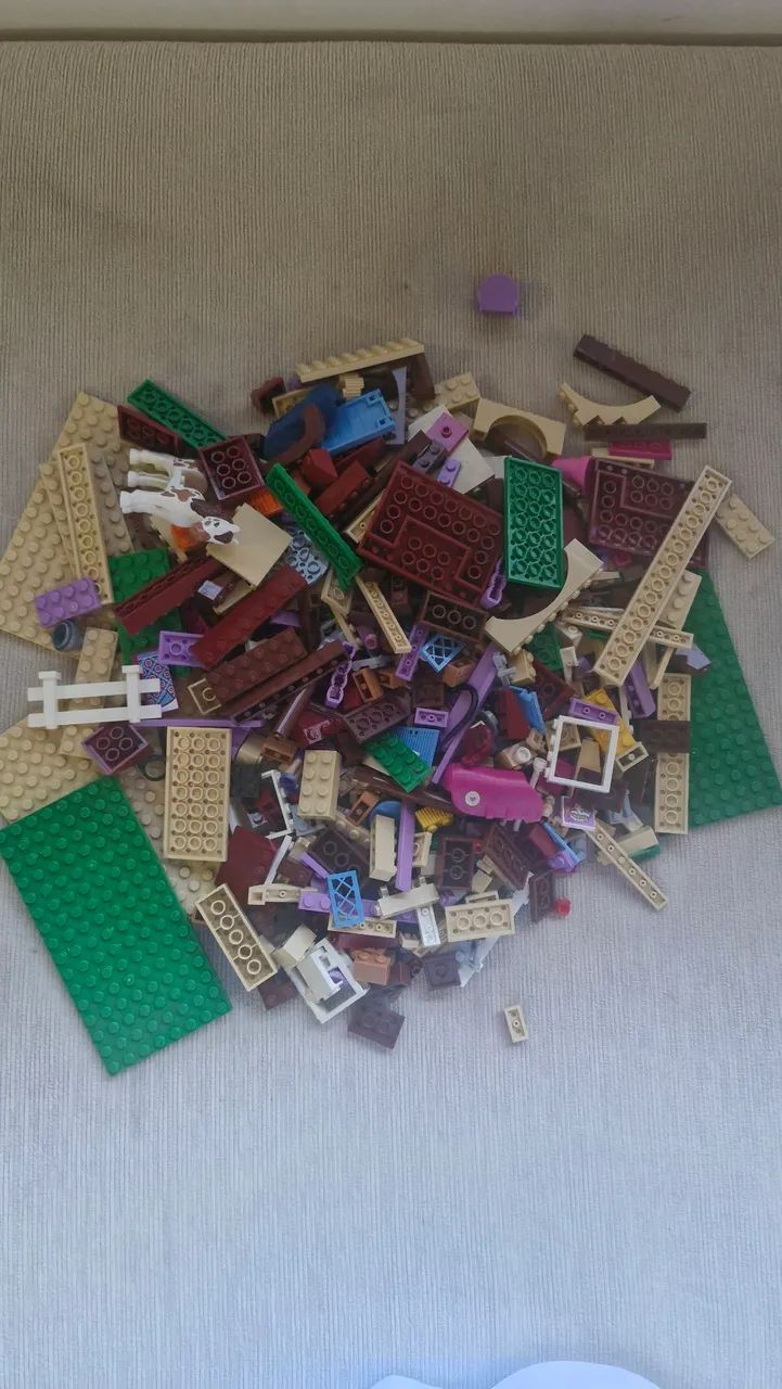 Lego friends 41126 (completo) - Foto 3