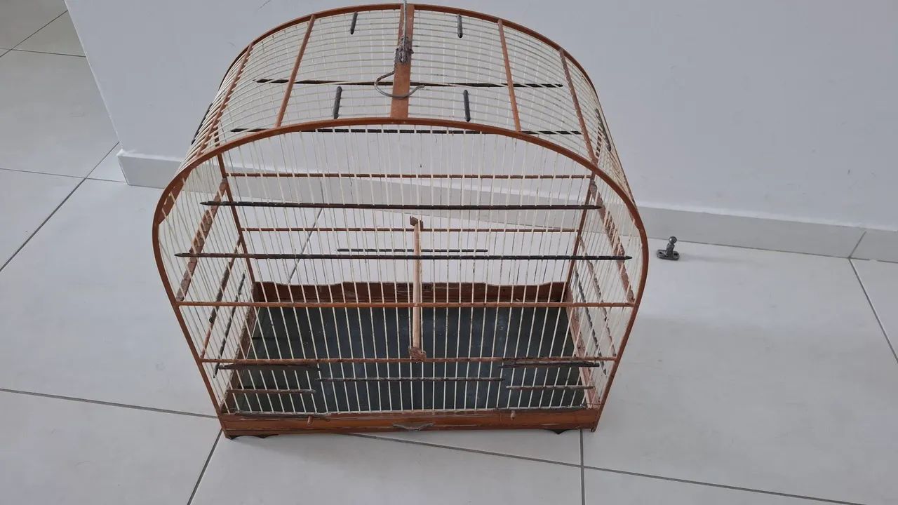 Gaiola N° 5 de André Gaioleiro