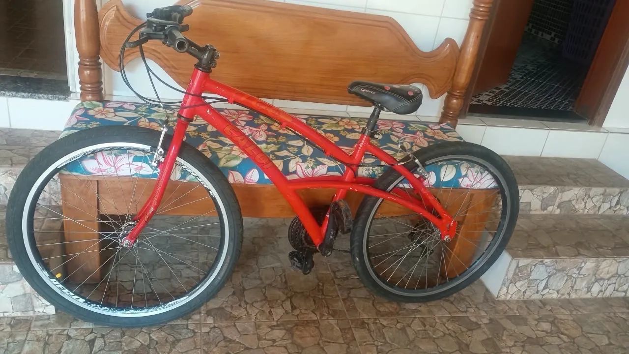 Bicicleta