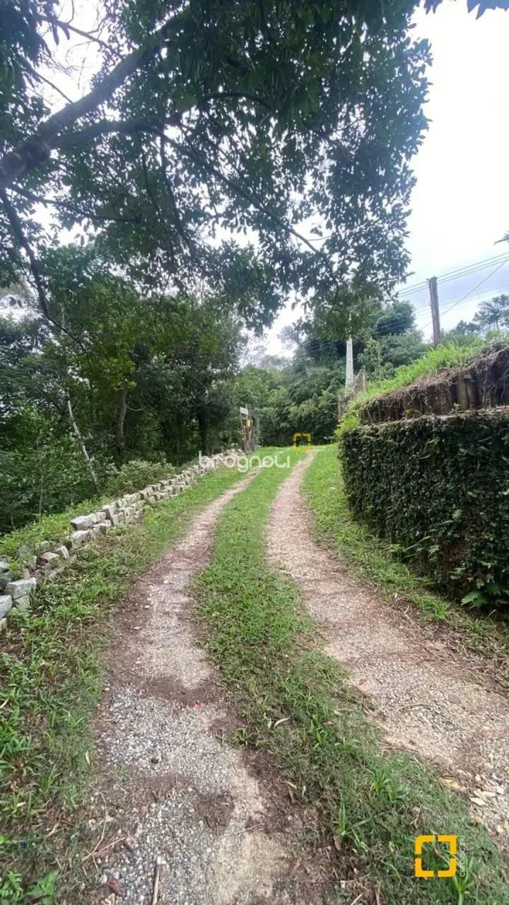 Brognoli Vende - Sitio com 3 Hectares na na Vargem Grande - Foto 5