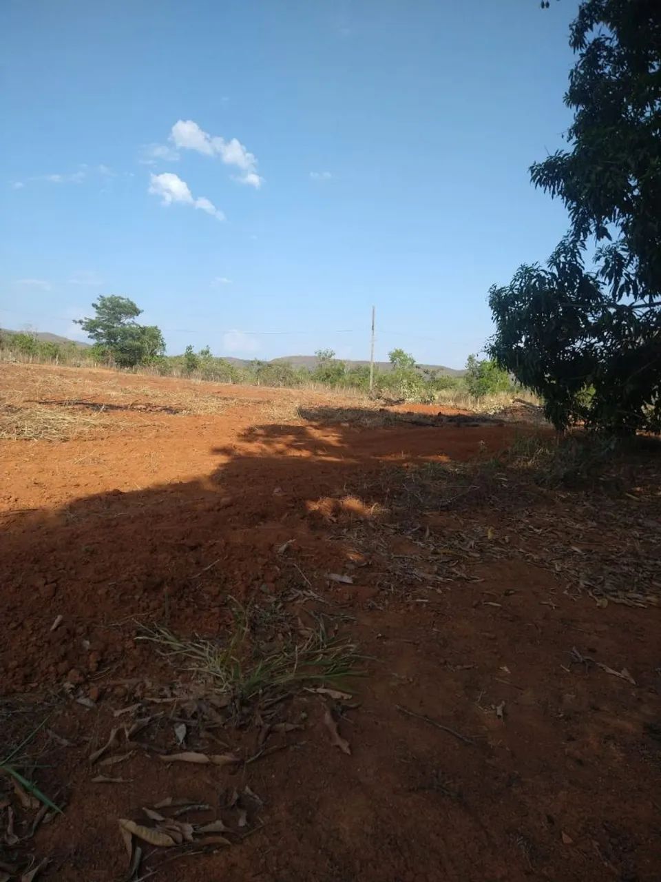 Chácara  - Foto 3