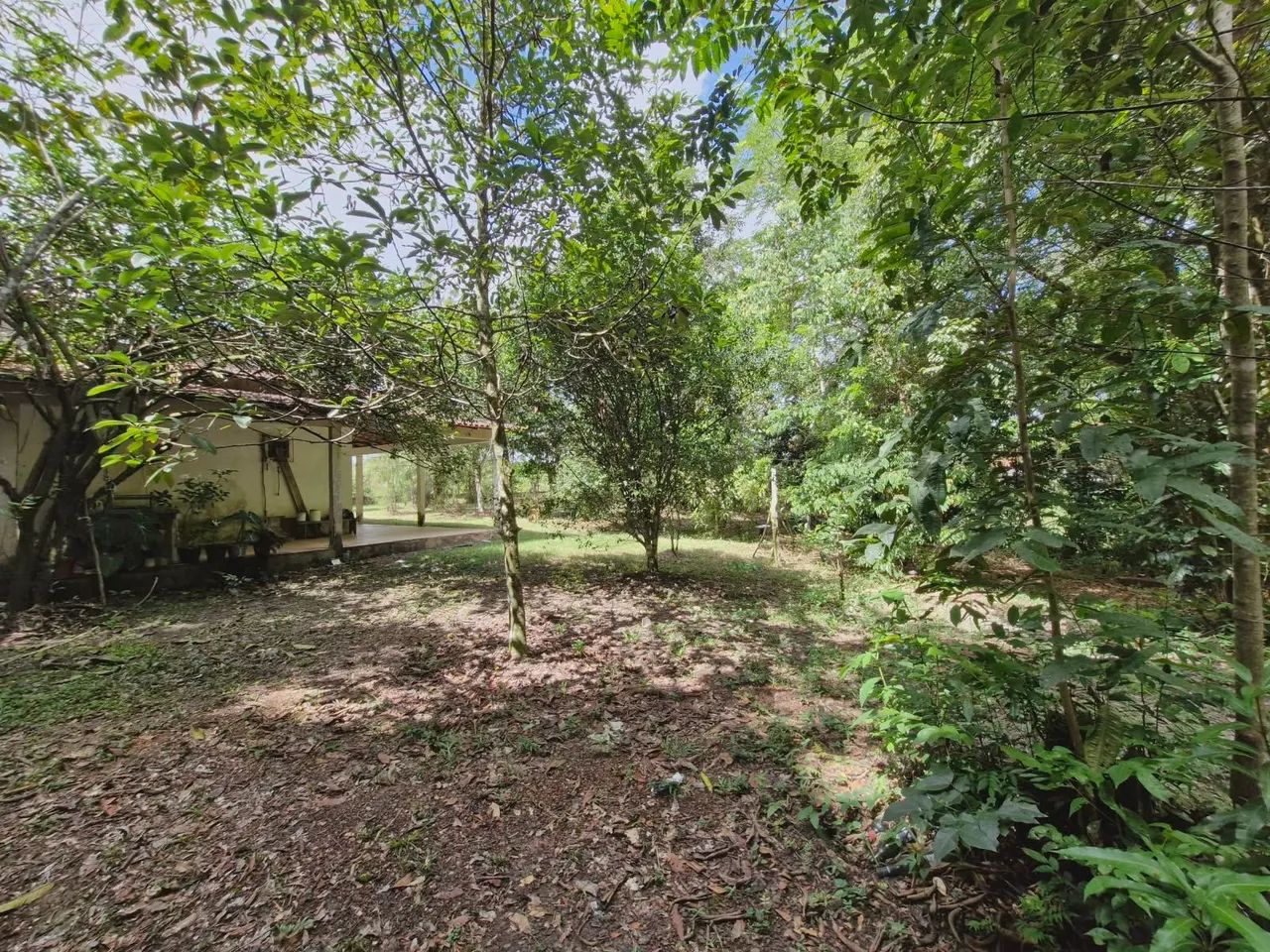 Vendo Sítio no Ramal Ninive ( alça Viária) com Igarape  - Foto 4
