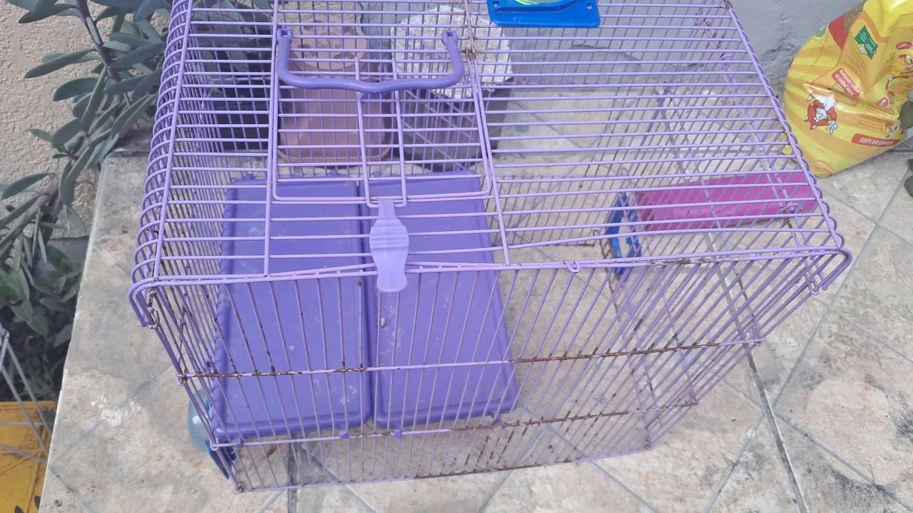 Gaiola hamster/ rato - Foto 2