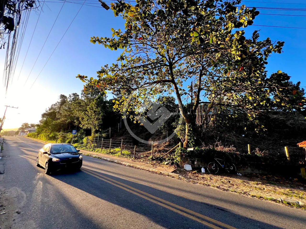 Terreno no Rio Tavares codigo: 141793 - Foto 5