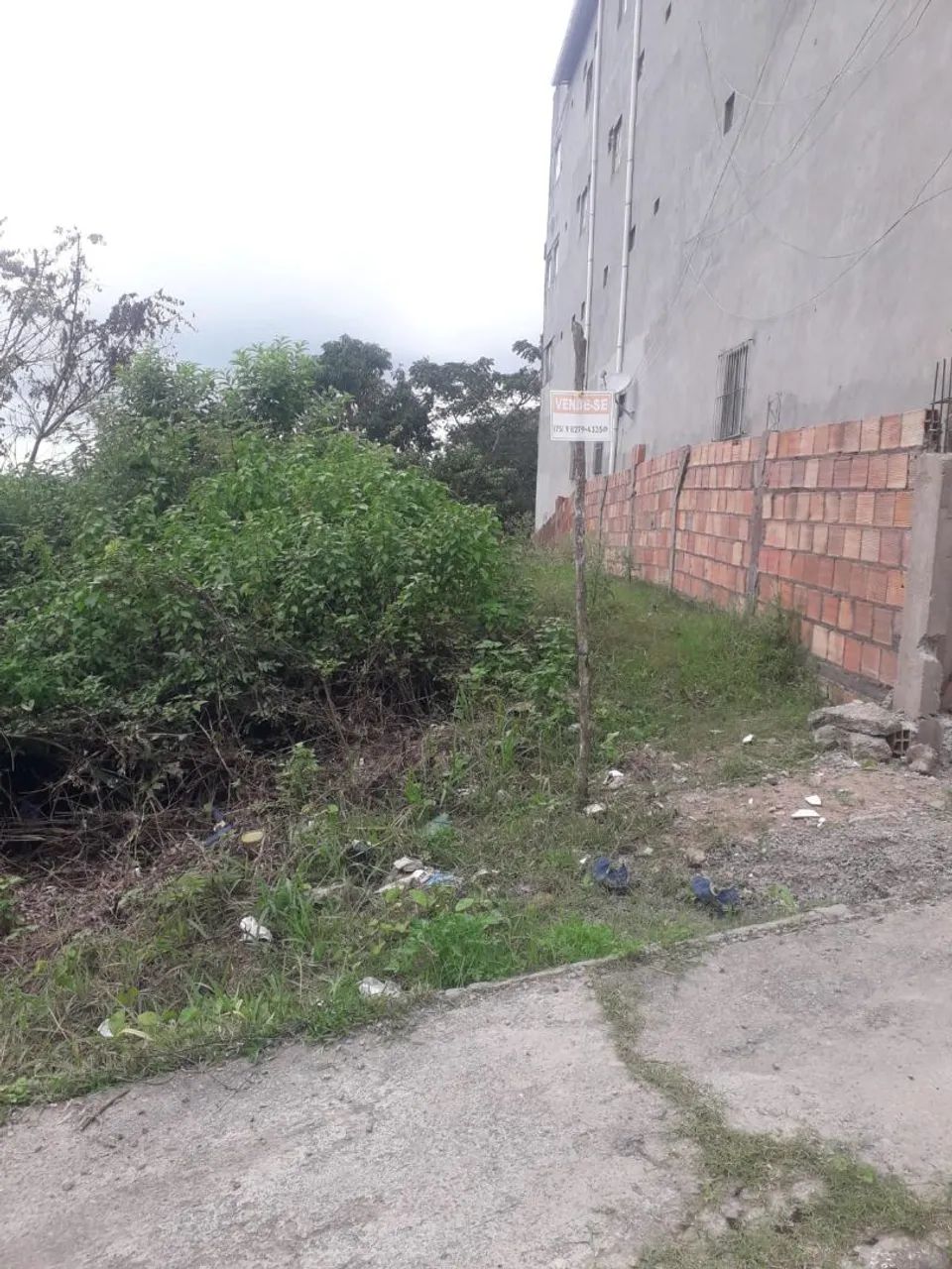 Terreno em santo Amaro 