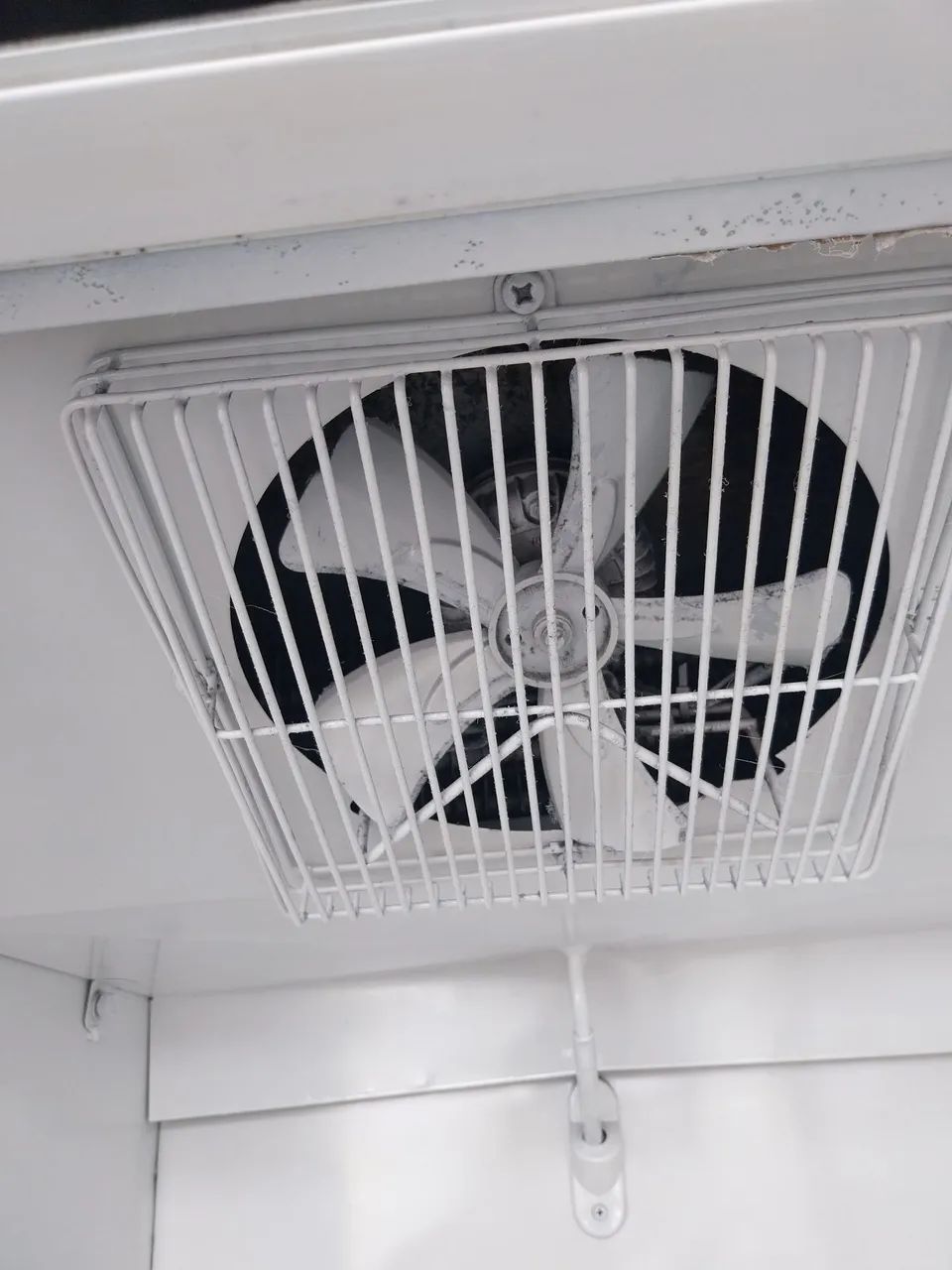 Freezer expositor  - Foto 4