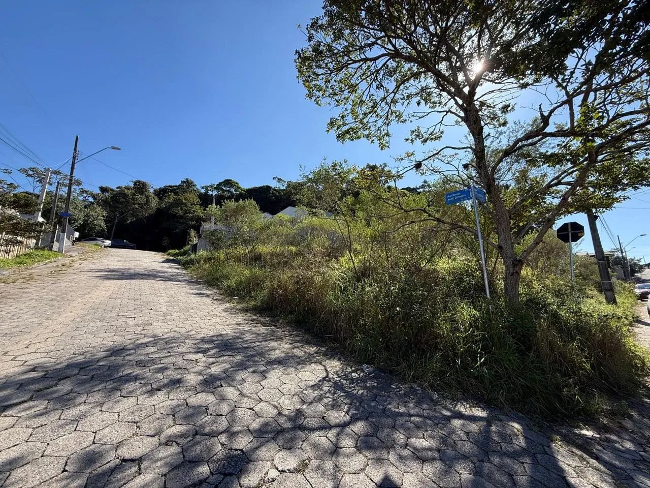 Lote / Terreno em Forquilhas - São José