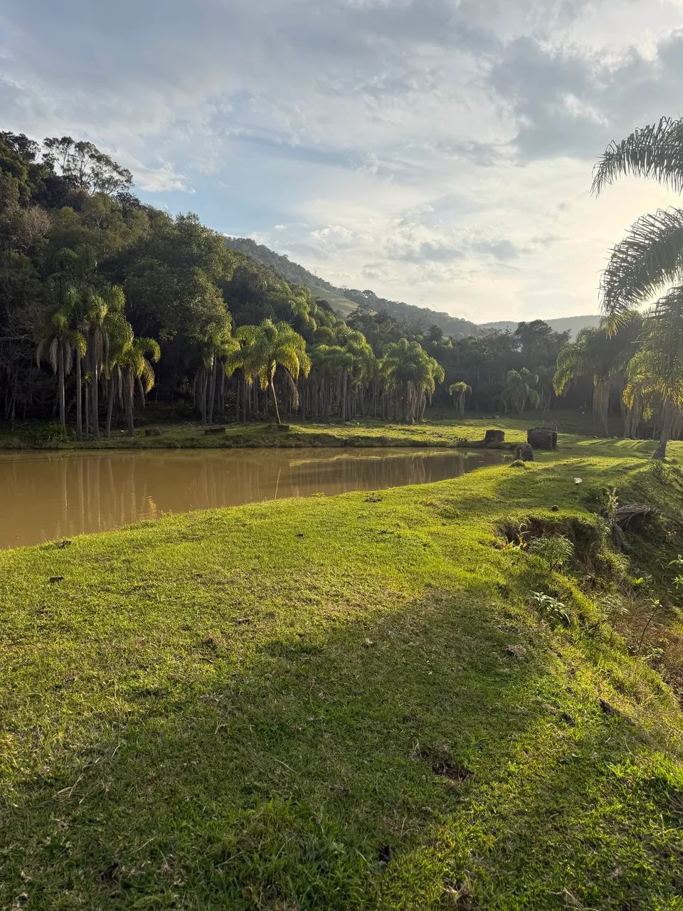 Sítio com dois lagos, nascentes e cachoeira. 5.9 hectares  - Foto 3