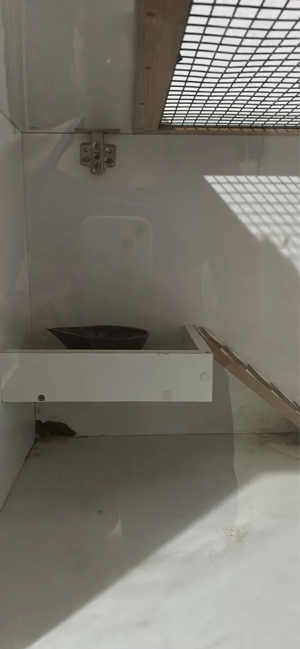 Terrário para hamster - MDF + vidro | 2 níveis - Foto 6