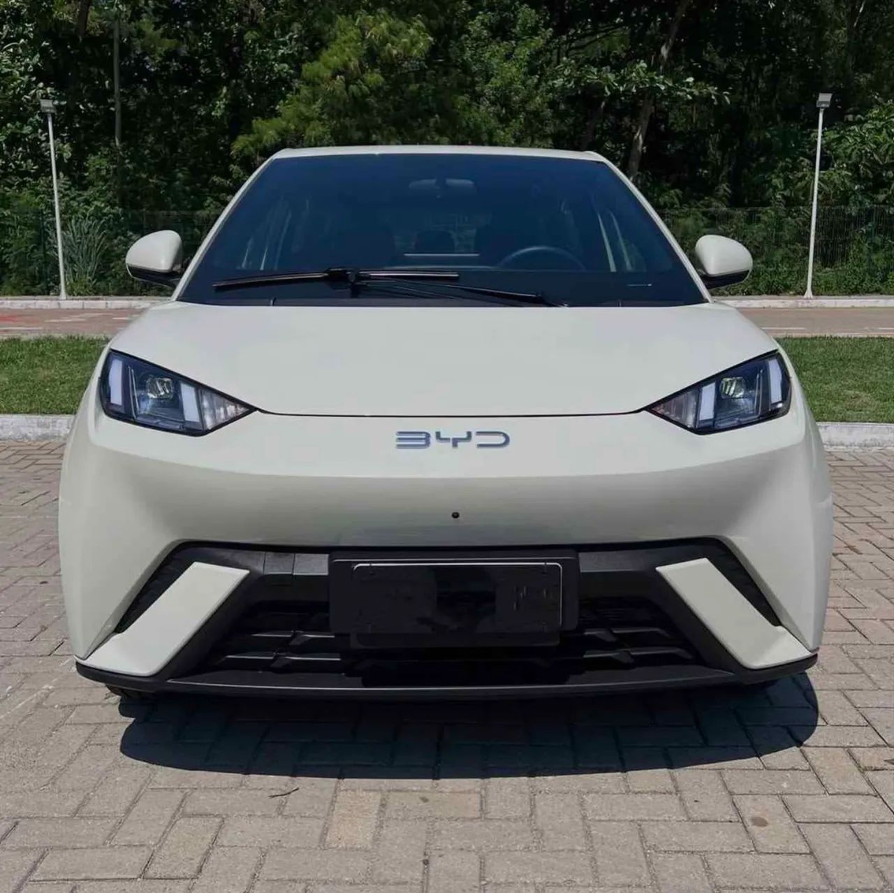 BYD Dolphin Mini (Elétrico) 2025 - Foto 2