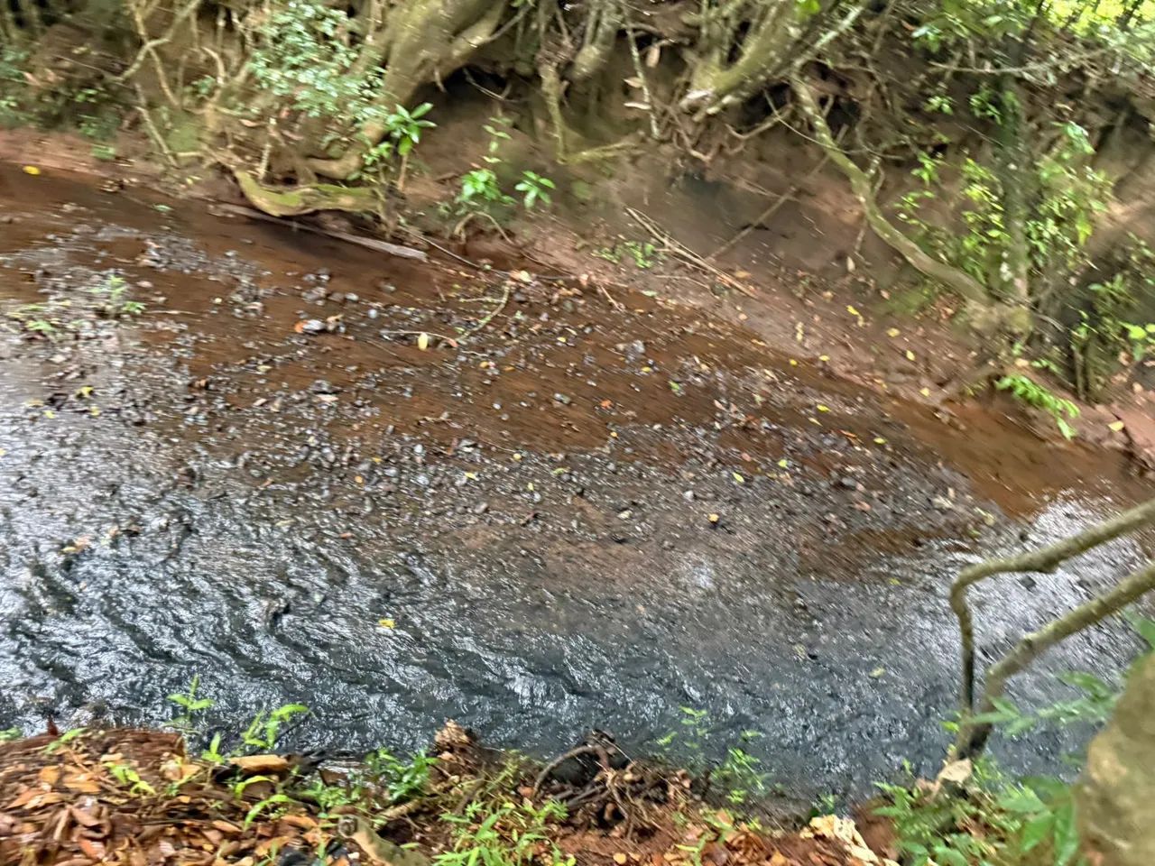 Terreno com água no fundo  - Foto 3