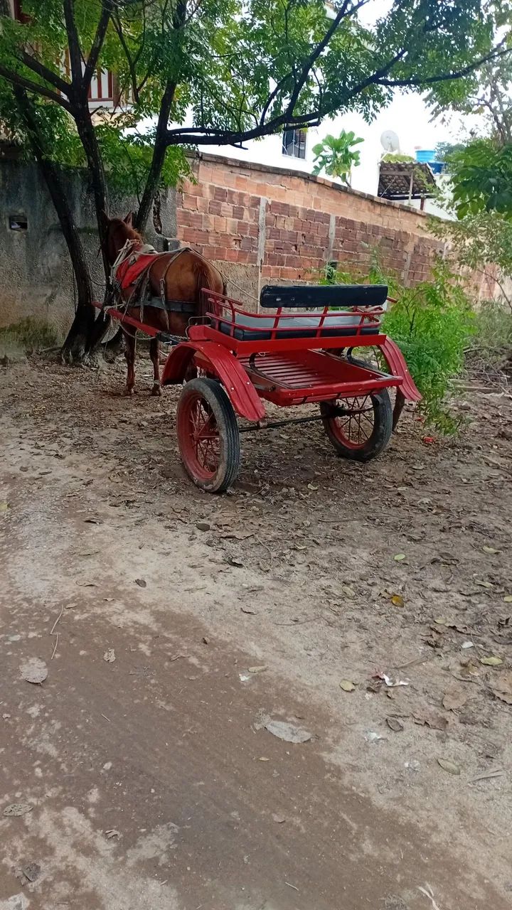 Charrete vermelha Em perfeito estado - Foto 2