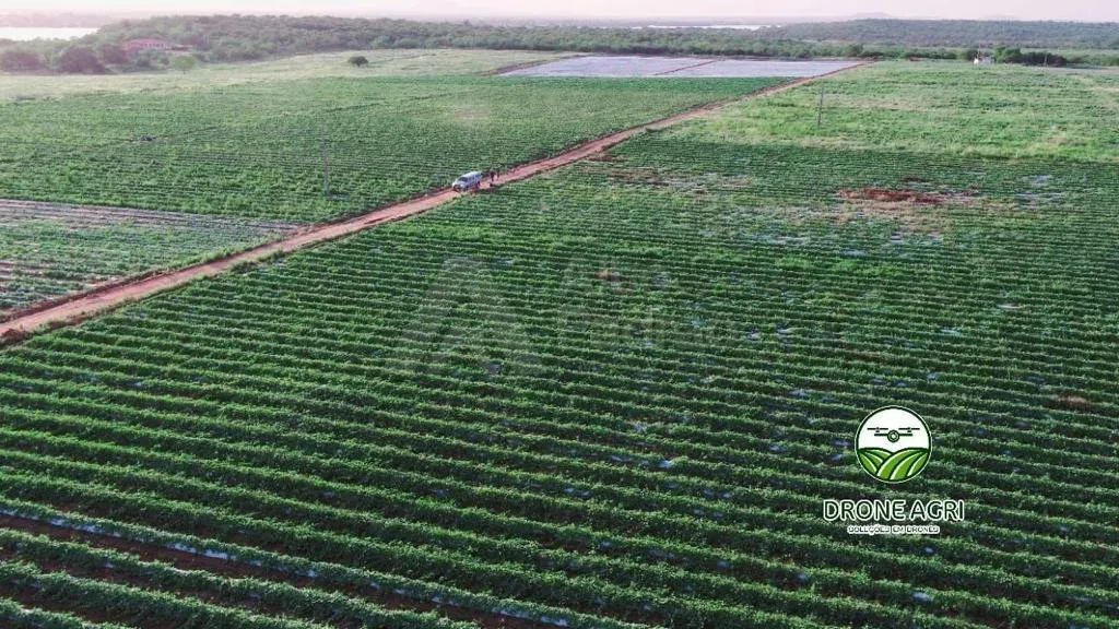FAZENDA PARA ARRENDAMENTO!!! - Foto 5