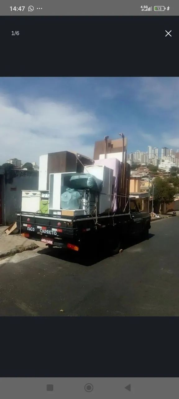 Retiradas de entulhos e podas  - Foto 4