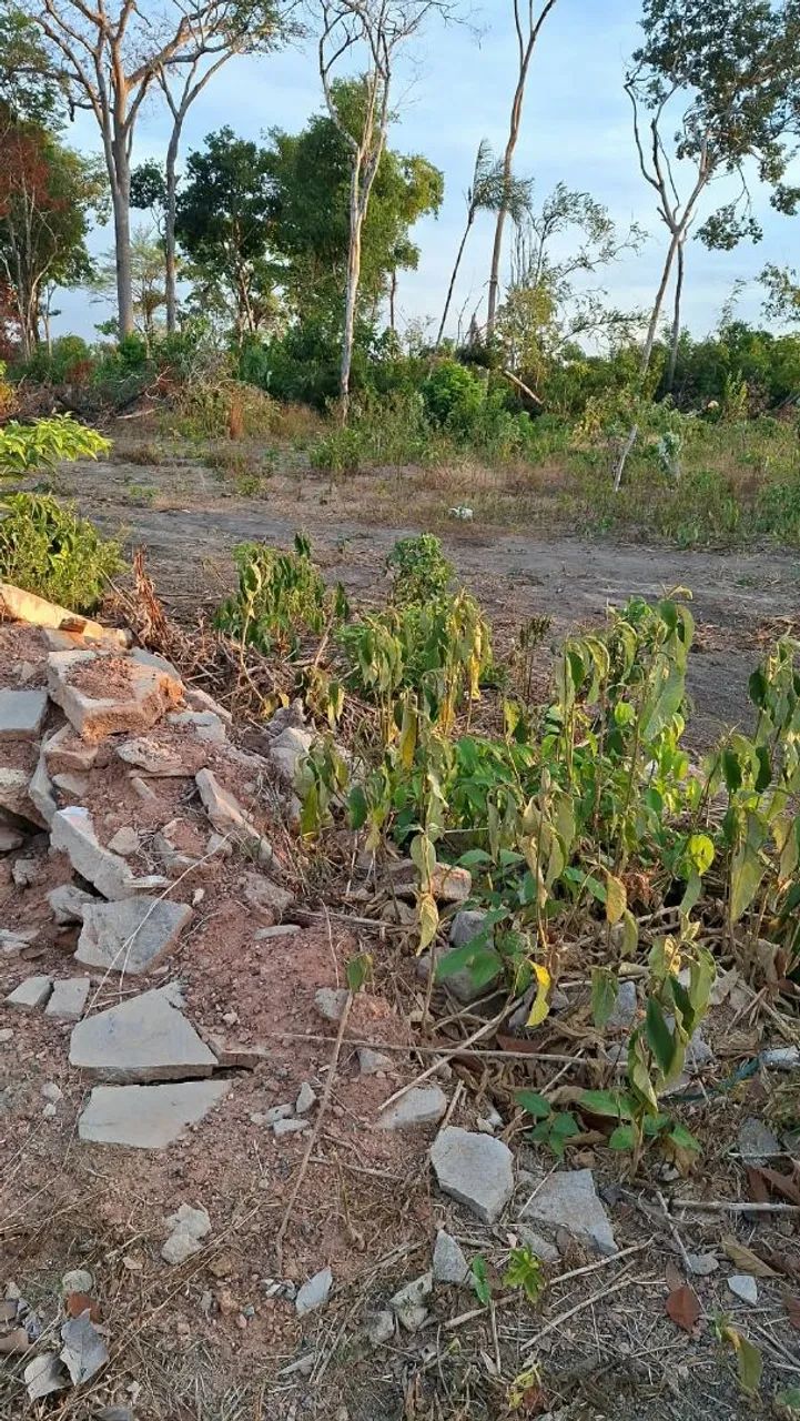 Não possui - Foto 2