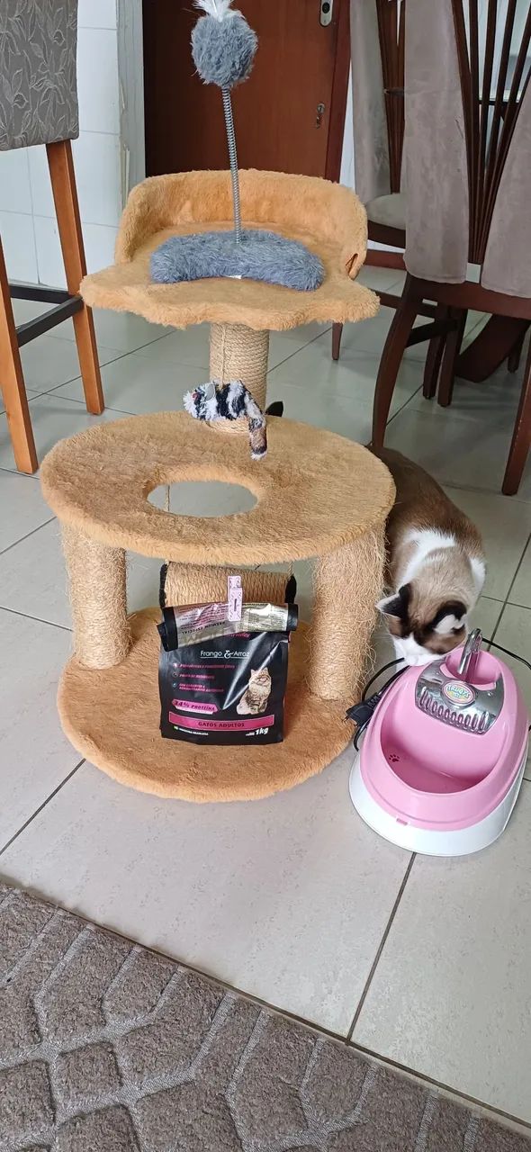 Combo Gato - Foto 4