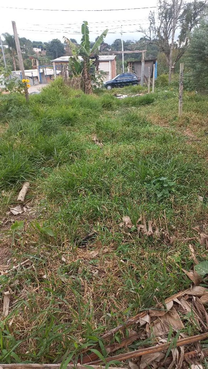 Terreno  - Foto 3