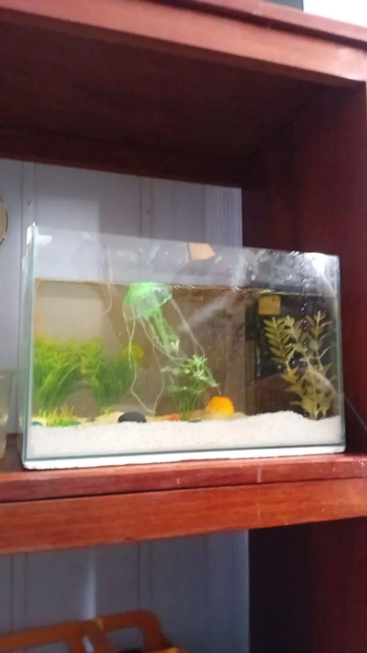 Aquario  - Foto 2