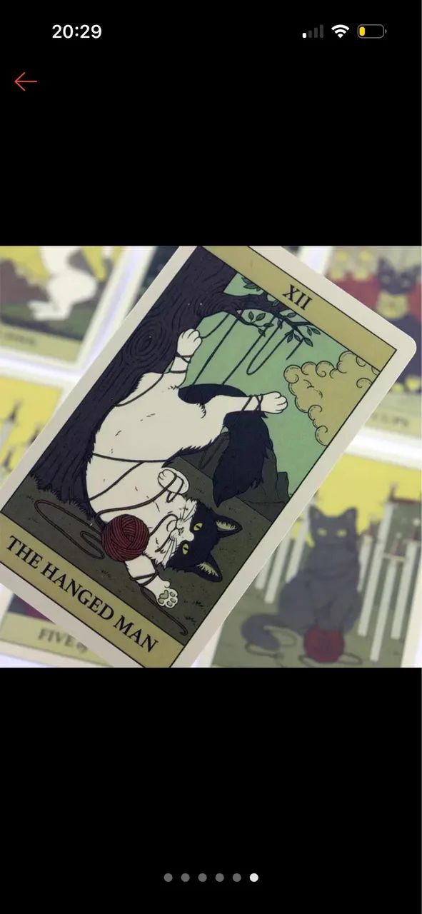 Tarot gatos - Foto 2