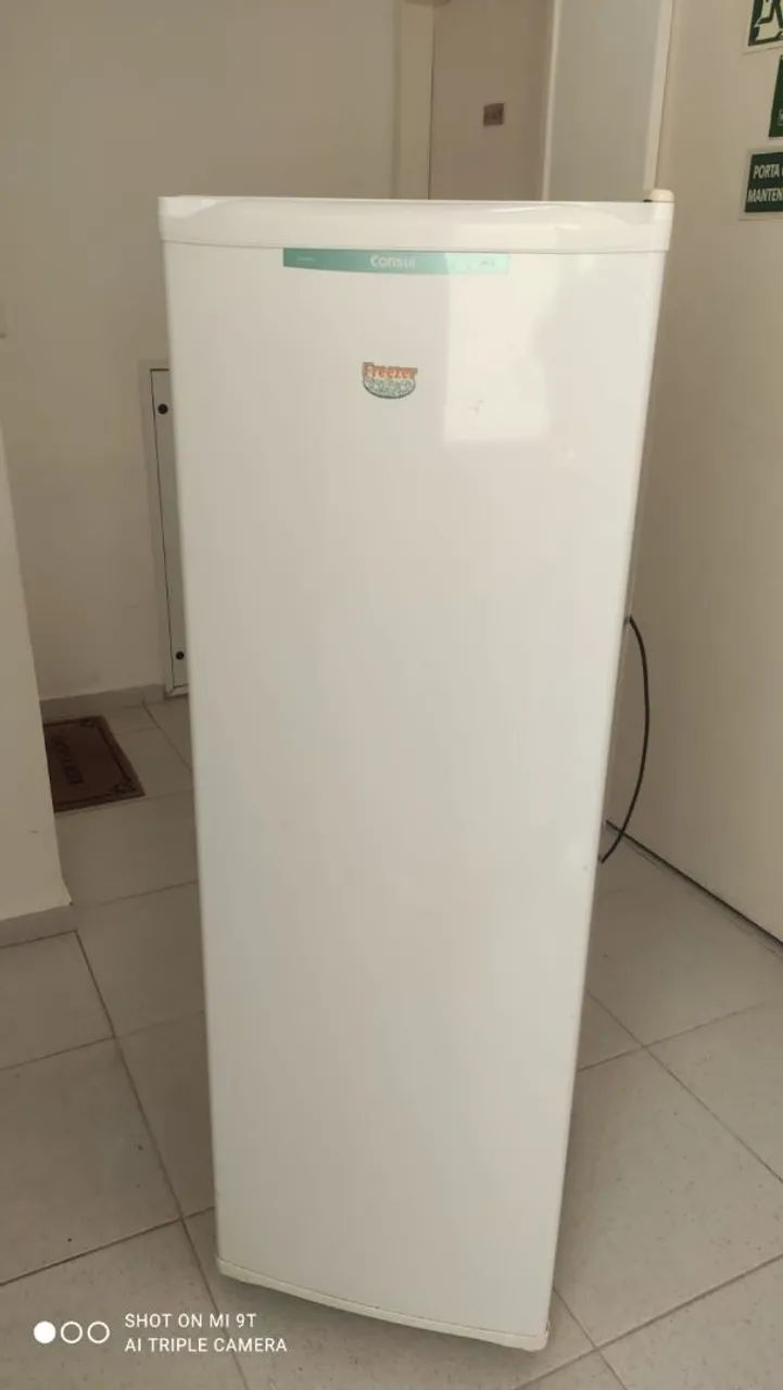Freezer vertical v110