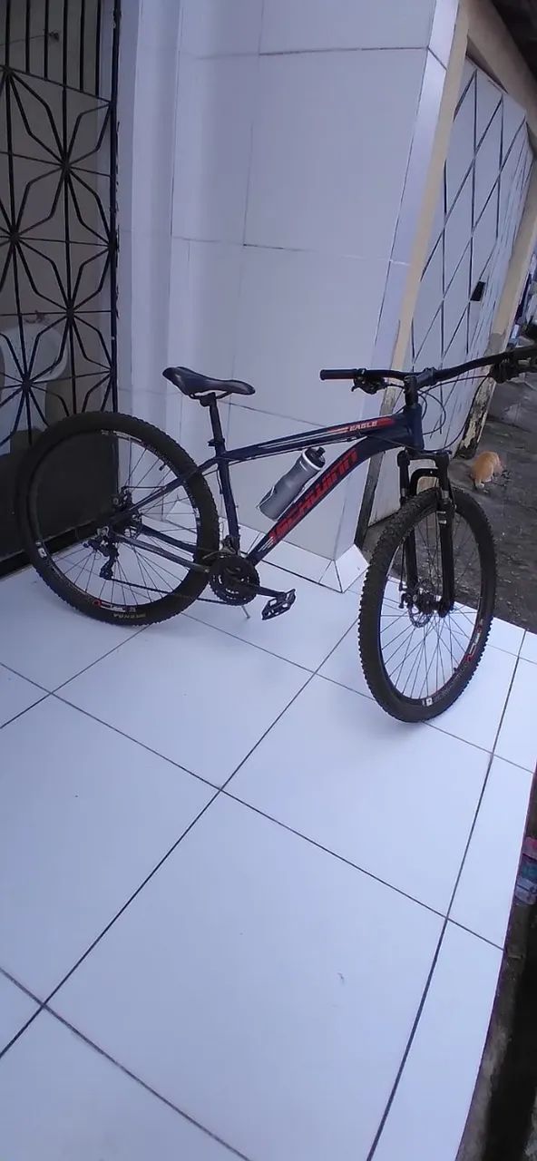 Bicicleta