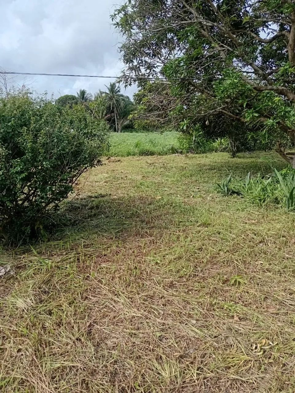 Vendo terreno para sítio no iguaiba  - Foto 2