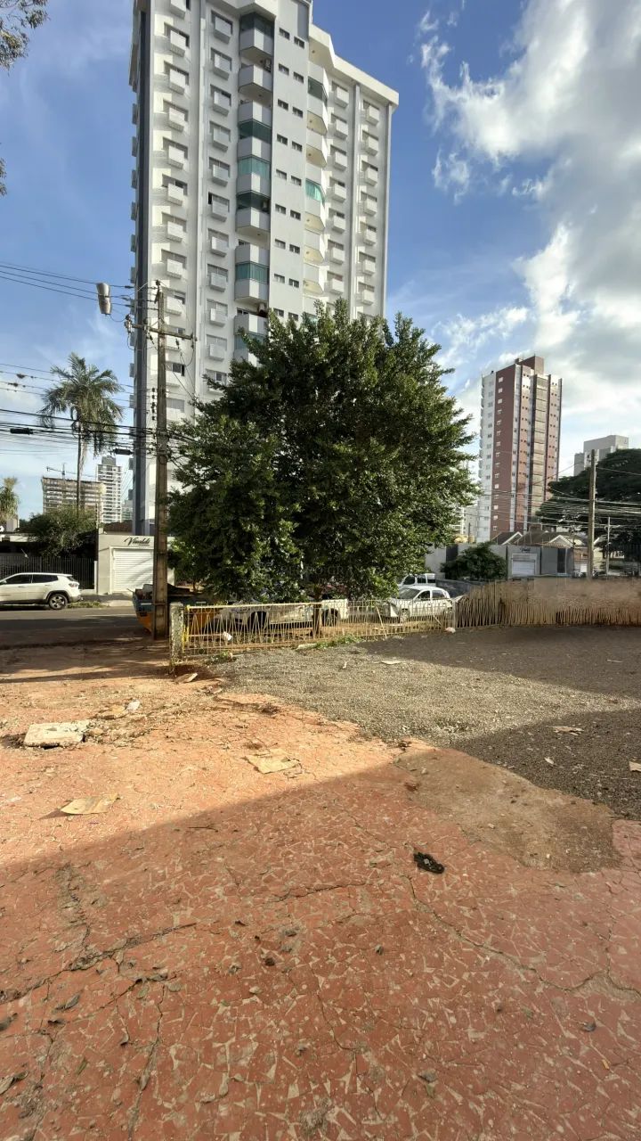 Excelente terreno no melhor da Zona 03 - Foto 4