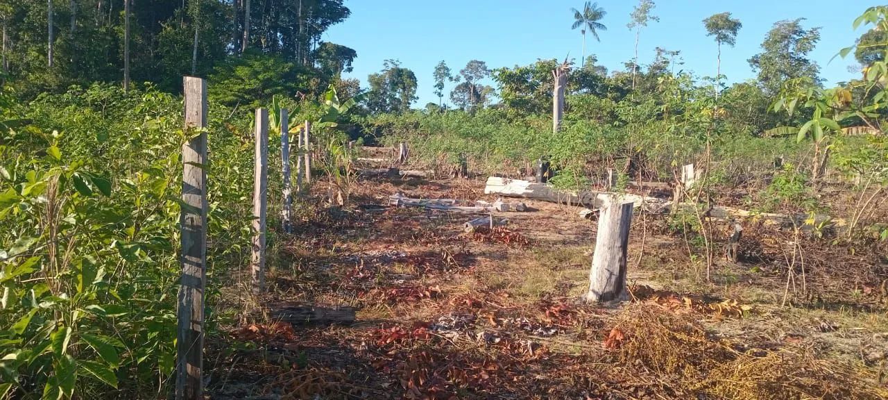 Verde-se uma lindo sítio  - Foto 3