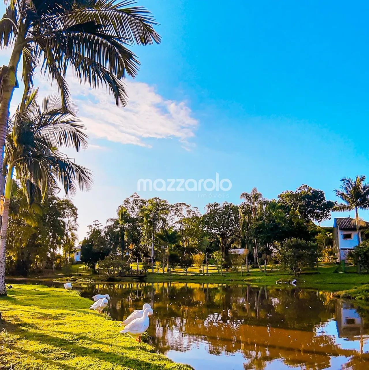 Terreno 585m² em condomínio fechado em Santo Amaro da Imperatriz - Foto 10