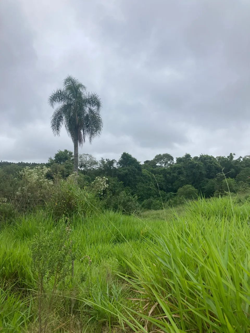 Vendo terrenos em fazenda vila nova  - Foto 6