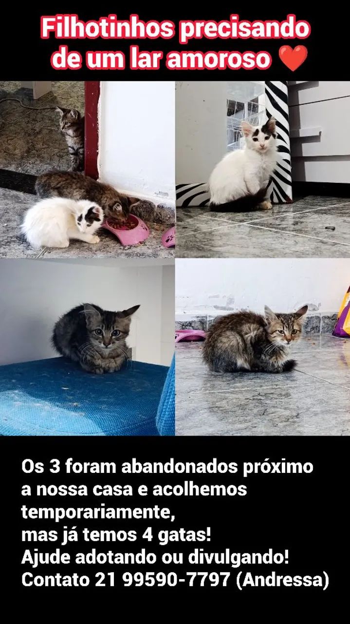 Doação 