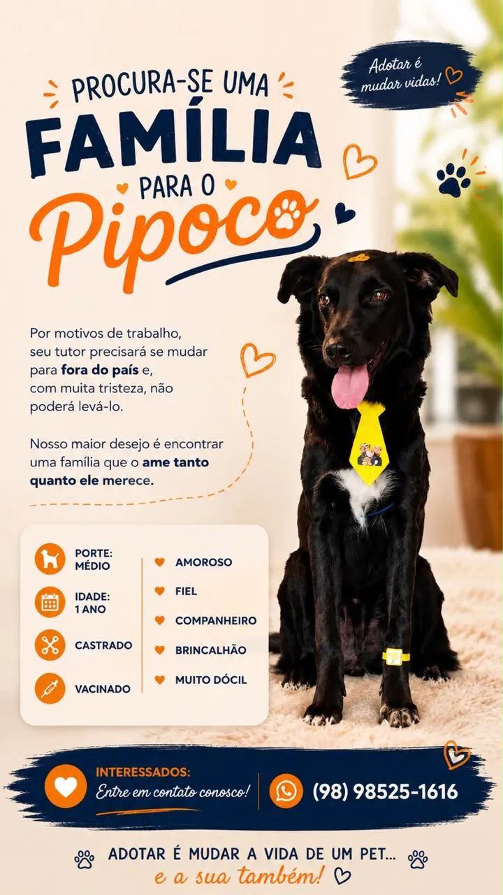 Adoção responsável 