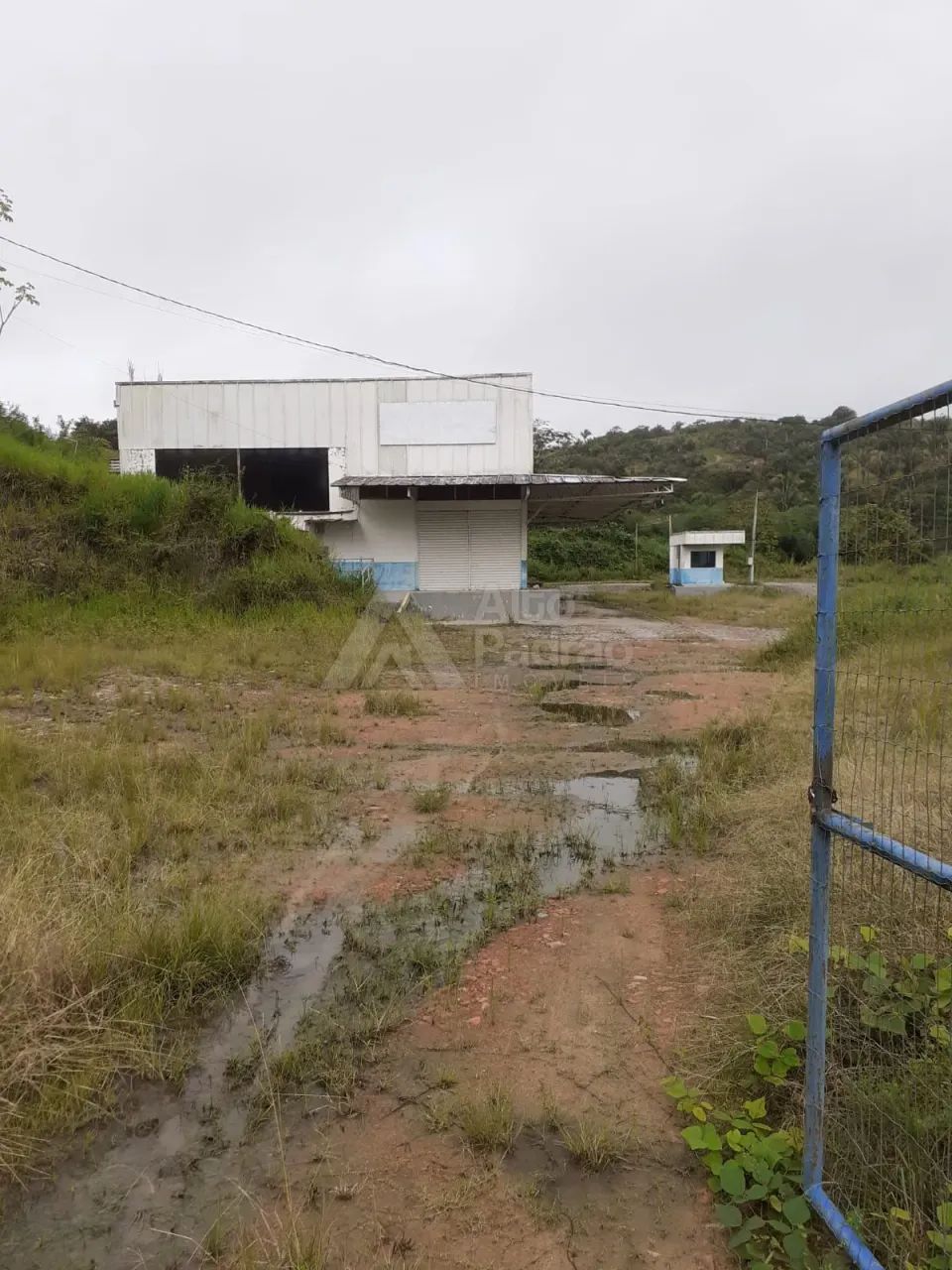 ALUGO GALPÃO COM UMA ÁREA DE 10 MIL M2 NA PE 71, CHÃ GRANDE-PE - Foto 5