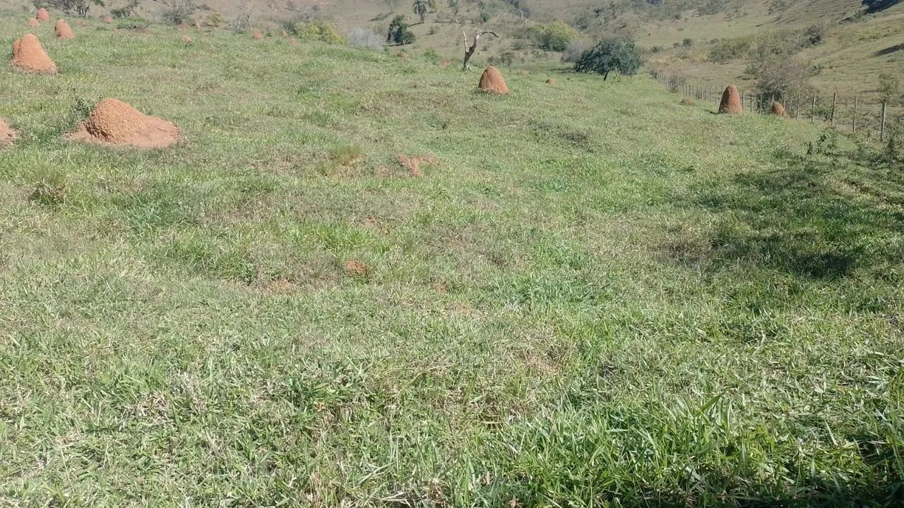 Vendo chácara em Paraibuna.  - Foto 3
