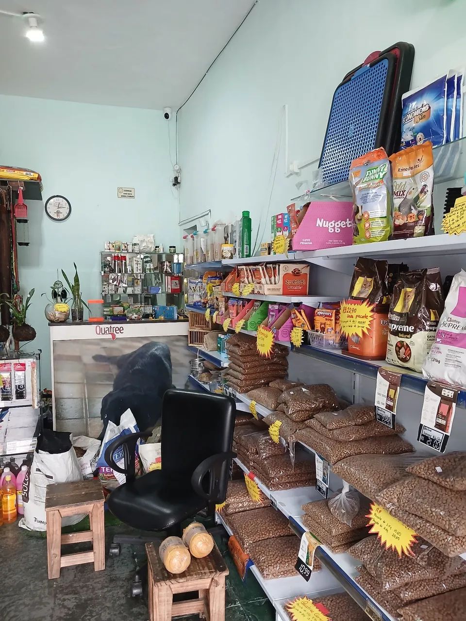 Passo ponto pet shop - Foto 5