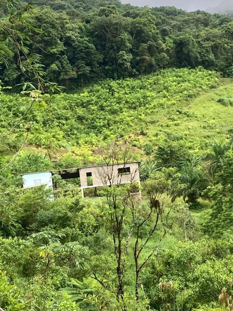 Fazenda - Foto 2