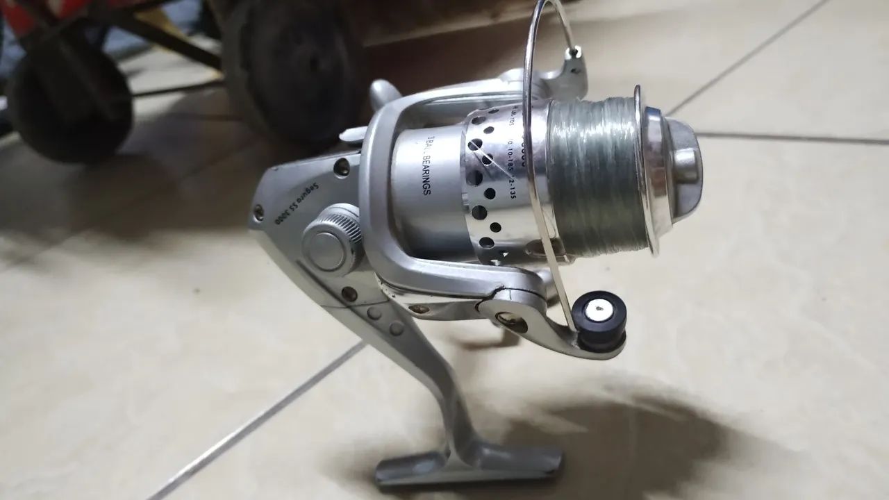 Molinete ss 3000