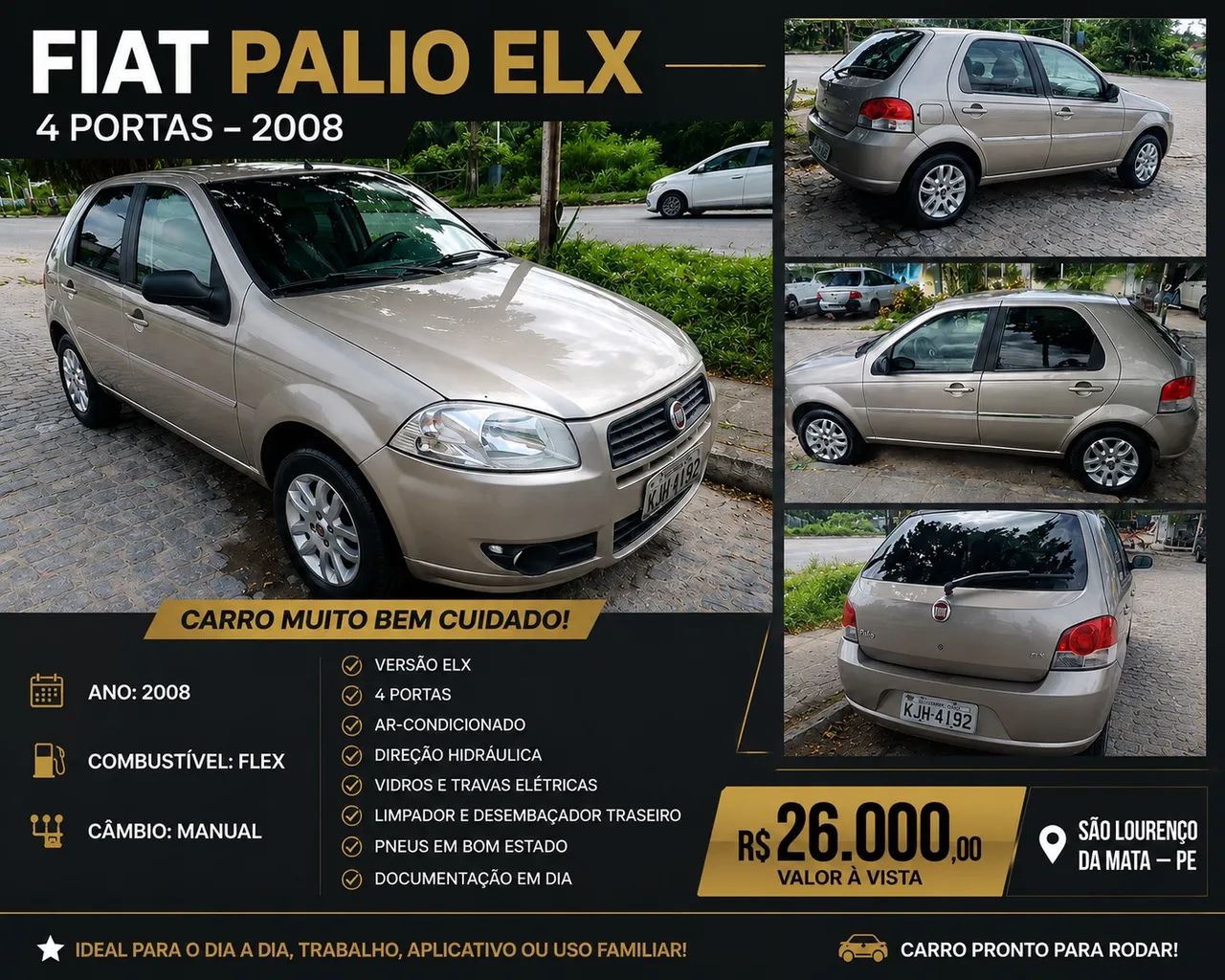 Fiat Palio Palio ELX 1.0 Fire/30 Anos F. Flex 8V 4p 2008