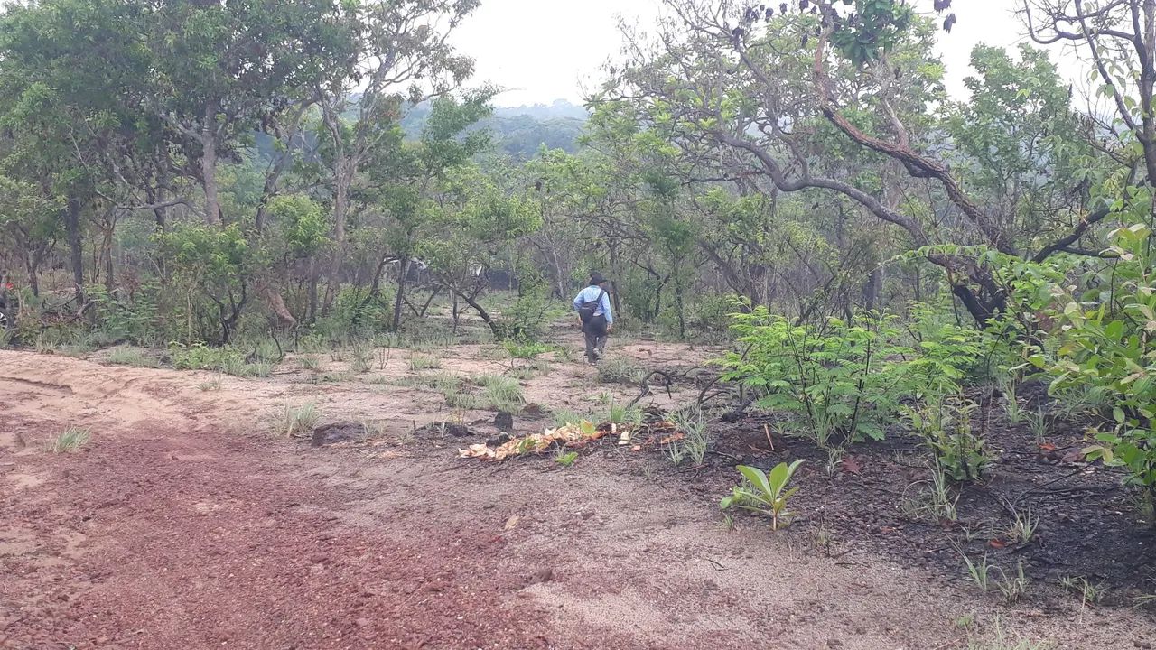 TERRENO EM ALTER DO CHAO - Foto 6