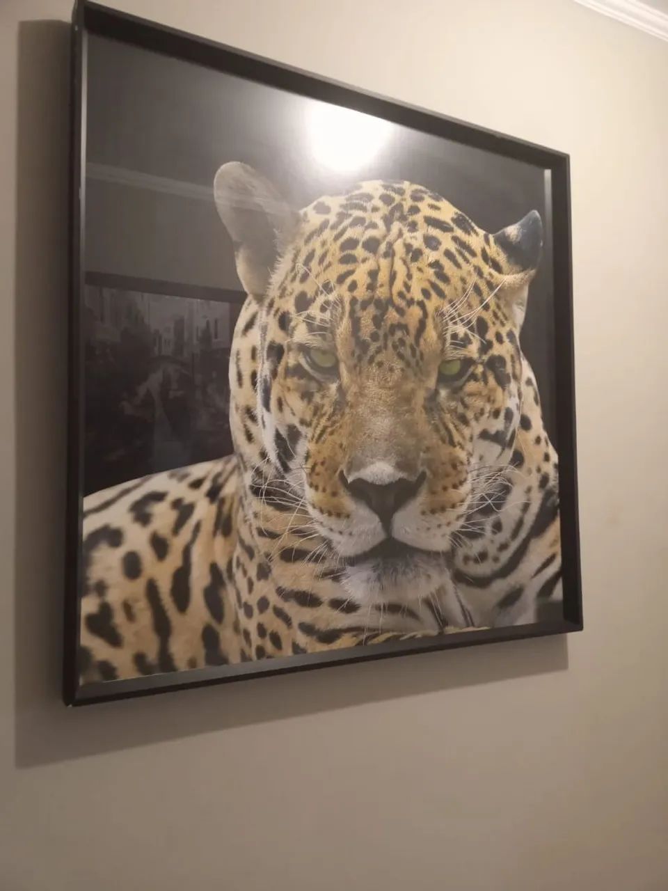 Quadro de Onça  - Foto 2