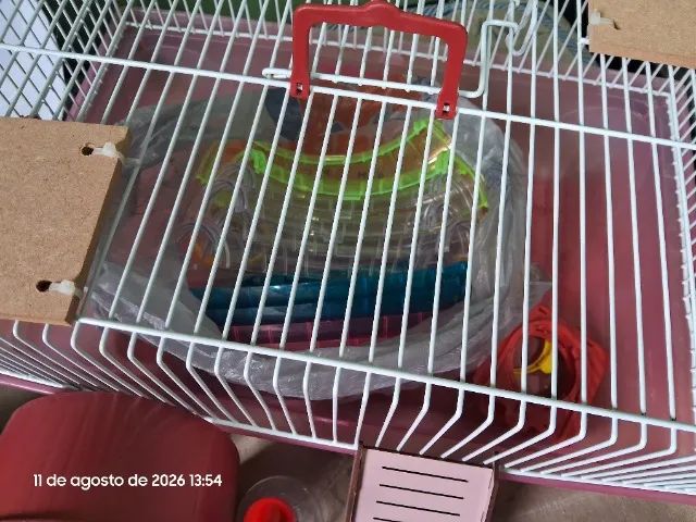 Gaiola e acessórios para Hamster - Foto 4