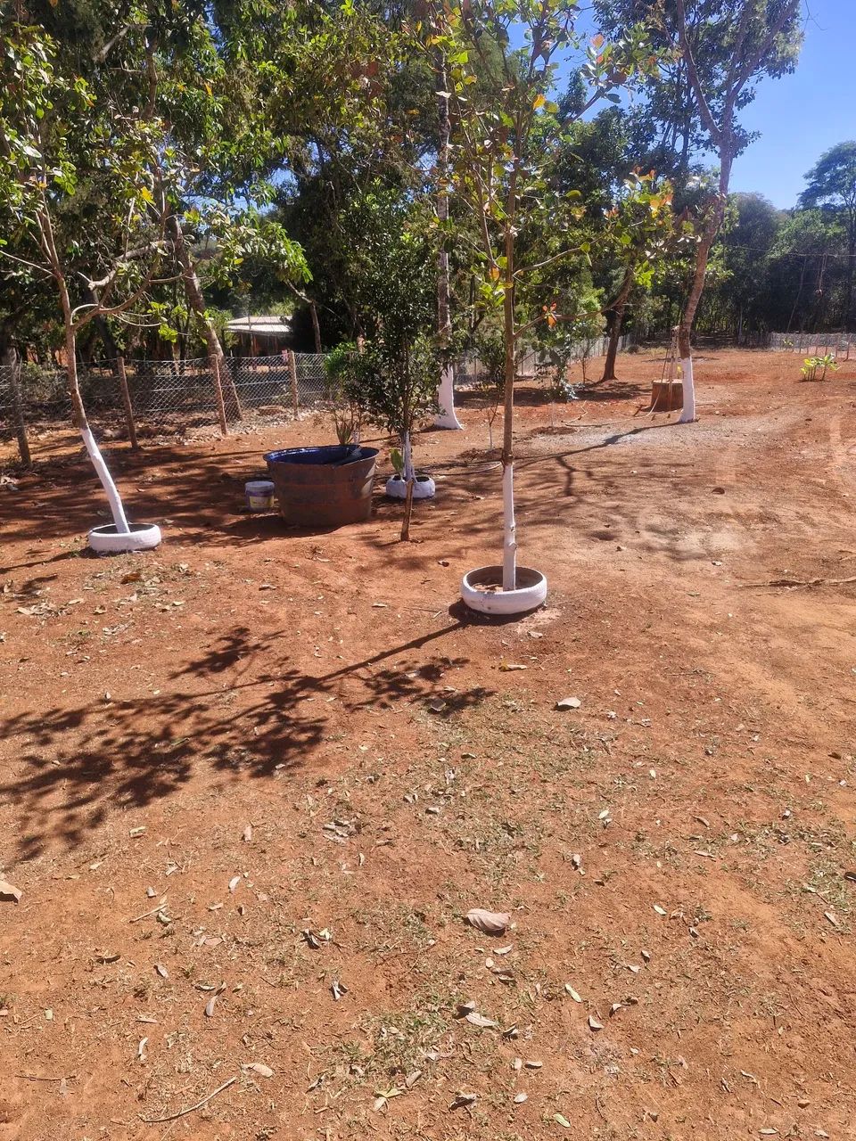 Vendo esta chácara 5 mil mts  - Foto 3
