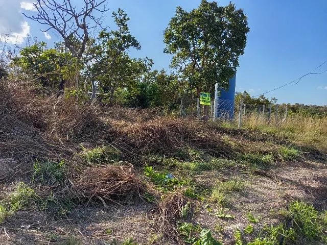 ? Lote à Venda - Excelente Localização e Ótima Oportunidade! - Foto 5