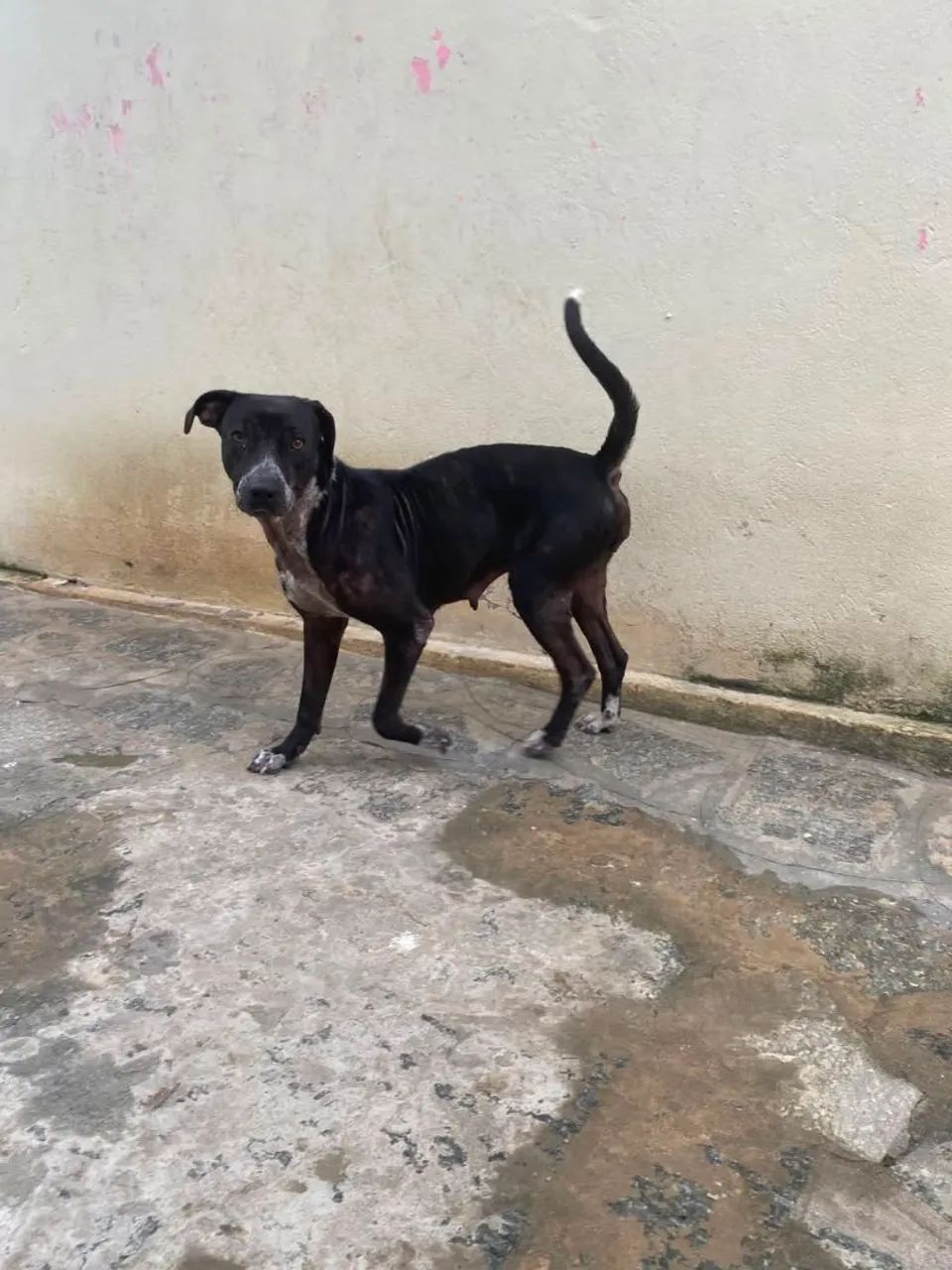 Doação  - Foto 5