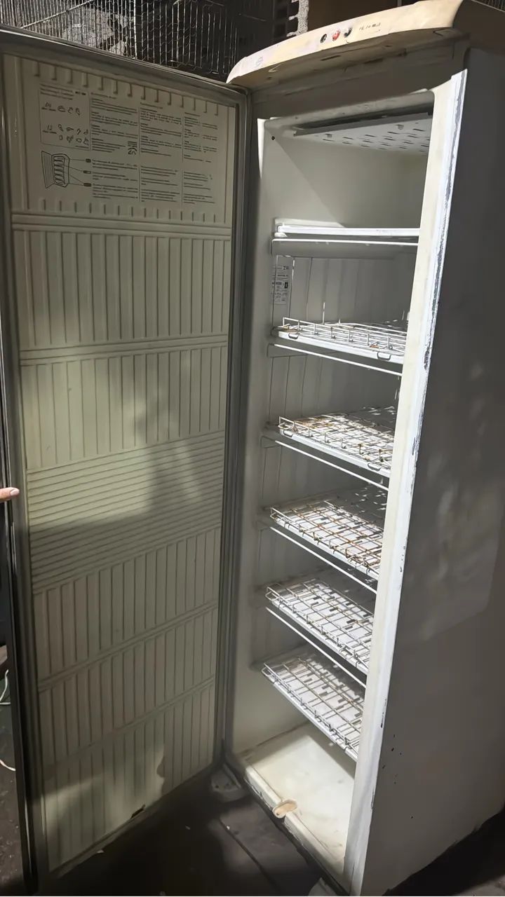 FREEZER ELECTROLUX  - Foto 2