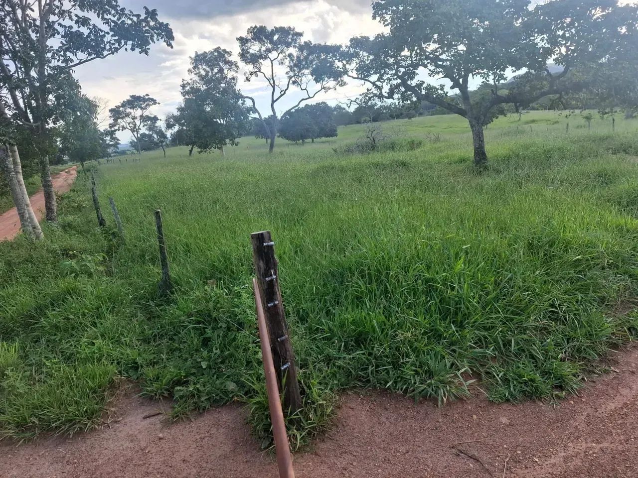 Fazenda - Jaraguá - GO - Foto 2