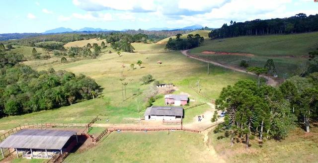 Fazenda para Gado - Foto 14